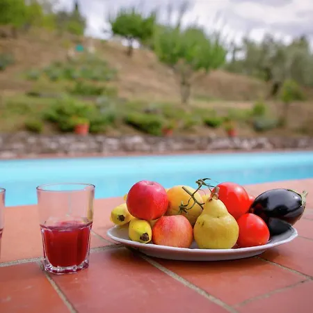 Idyllic In With Swimming Pool Cortona